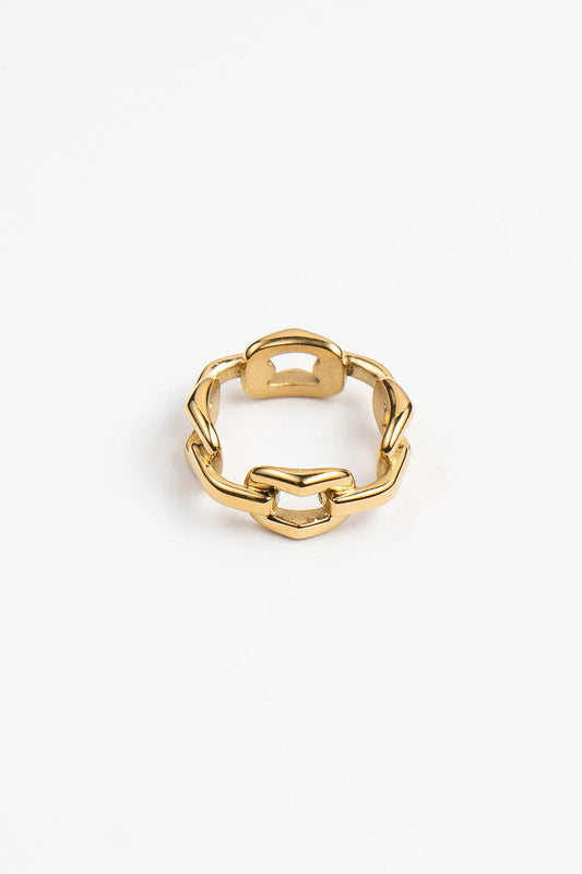 BIG CHAIN RING